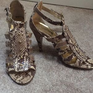 Coach Python Gladiator Heels